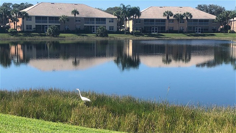 Listing# 65 Property Photo